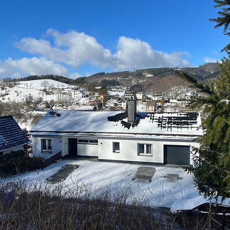 Panoramablick Willingen Schwalefeld Daire Dış mekan fotoğraf