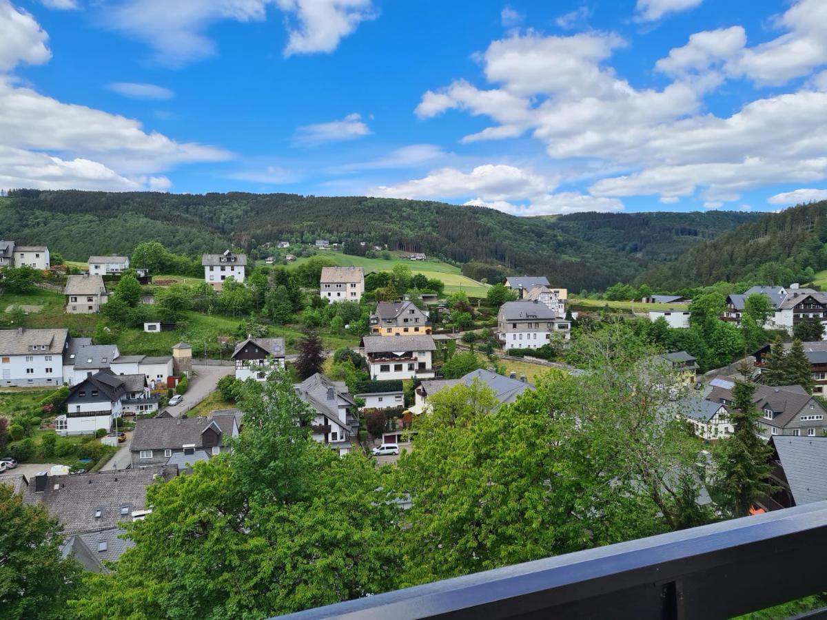 Panoramablick Willingen Schwalefeld Daire Dış mekan fotoğraf