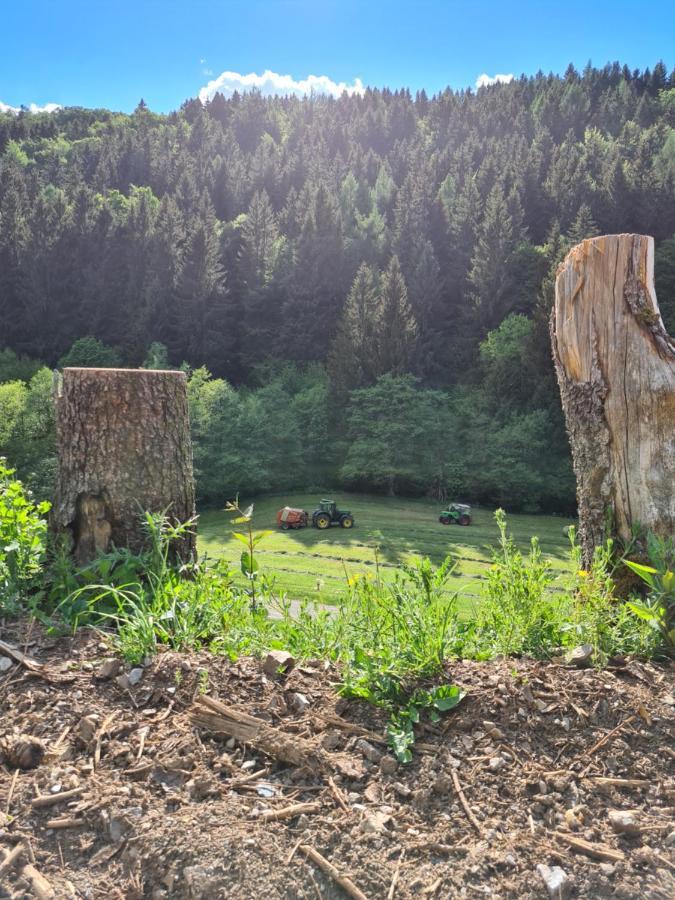 Panoramablick Willingen Schwalefeld Daire Dış mekan fotoğraf