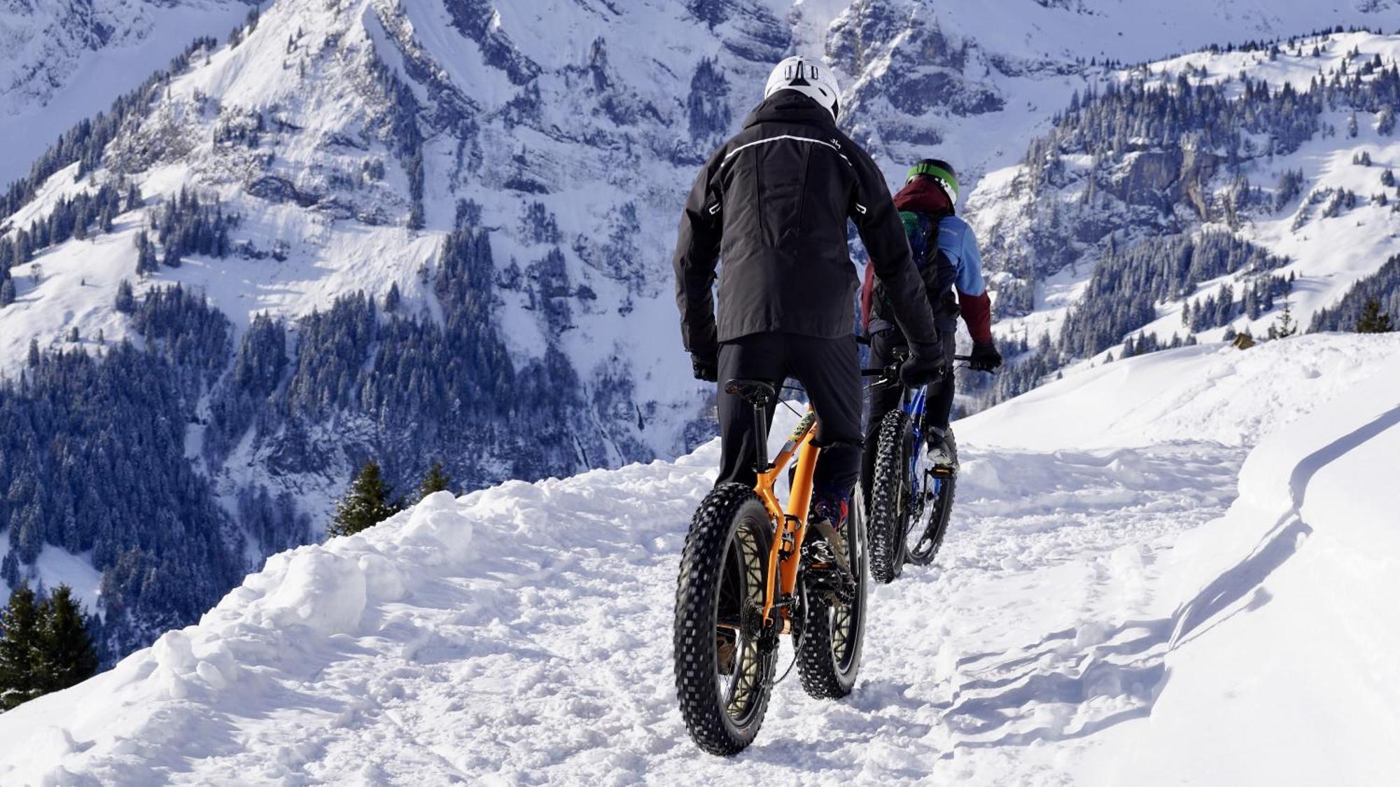 Panoramablick Willingen Schwalefeld Daire Dış mekan fotoğraf